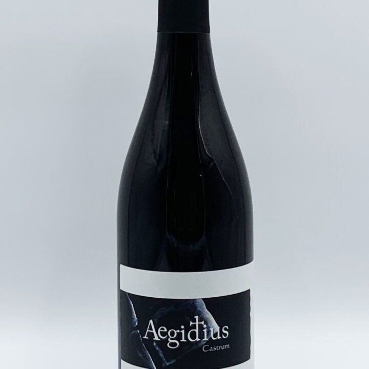 Aegidius - Castrum Bikavér 2015